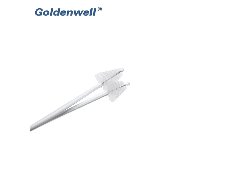Pap Smear Test Cervical Brush