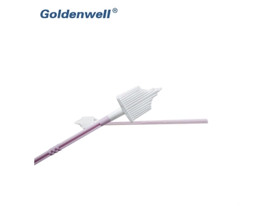 Pap Smear Test Cervical Brush