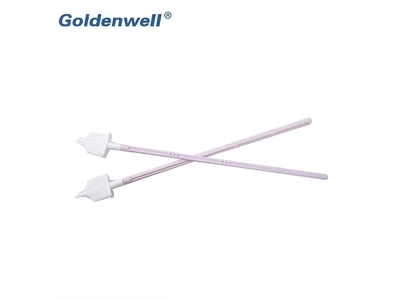 Pap Smear Test Cervical Brush