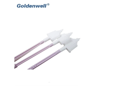 Pap Smear Test Cervical Brush