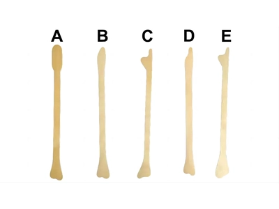 Gynecology Kit Disposable Pap Smear Kit with Cervical Brush and Cotton Stick